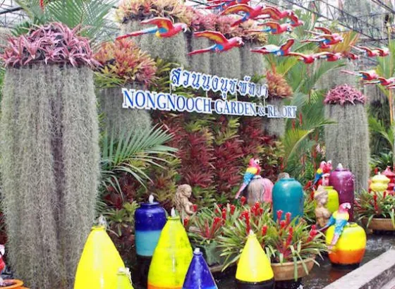 Thailand Nong Nooch Village Pattaya 1 nong_nooch_pineapple_garden_2d390_2563_190_t598_26