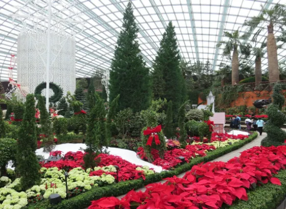 Marina Bay Gardens by the Bay 4 screen_shot_2016_01_30_at_12_59_27_pm_fc7e9_2563_144_t598_26