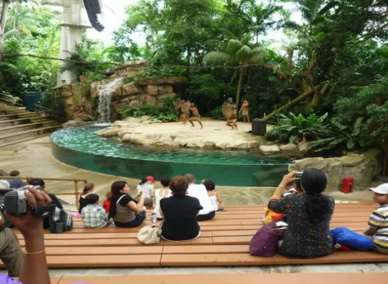 Wildlife Reserves Singapore Zoo 2 screen_shot_2016_01_30_at_7_39_30_pm_28475_2563_151_t598_26